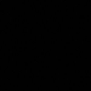 Meet your Posher, Annika